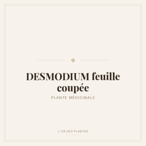 DESMODIUM feuille coupée (g) — Feuilles