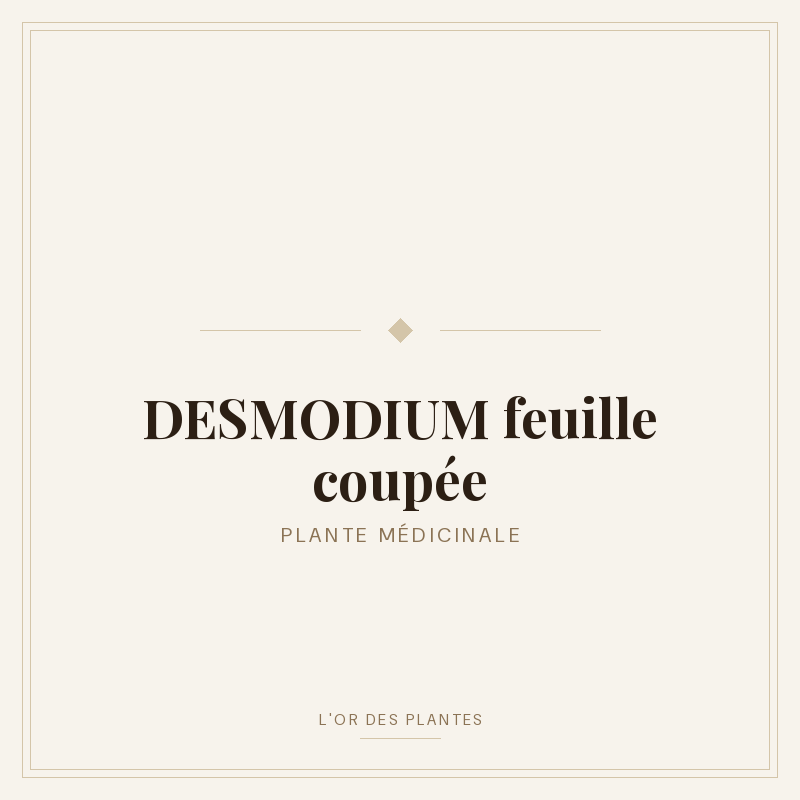 DESMODIUM feuille coupée (g) — Feuilles
