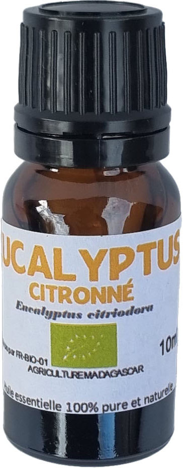 EUCALYPTUS coupe fine (g) — Feuilles