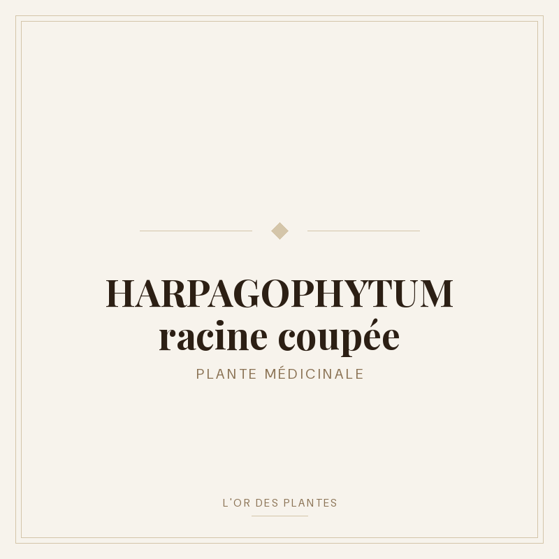 HARPAGOPHYTUM racine coupée (g) — Herboristerie de Comptoir