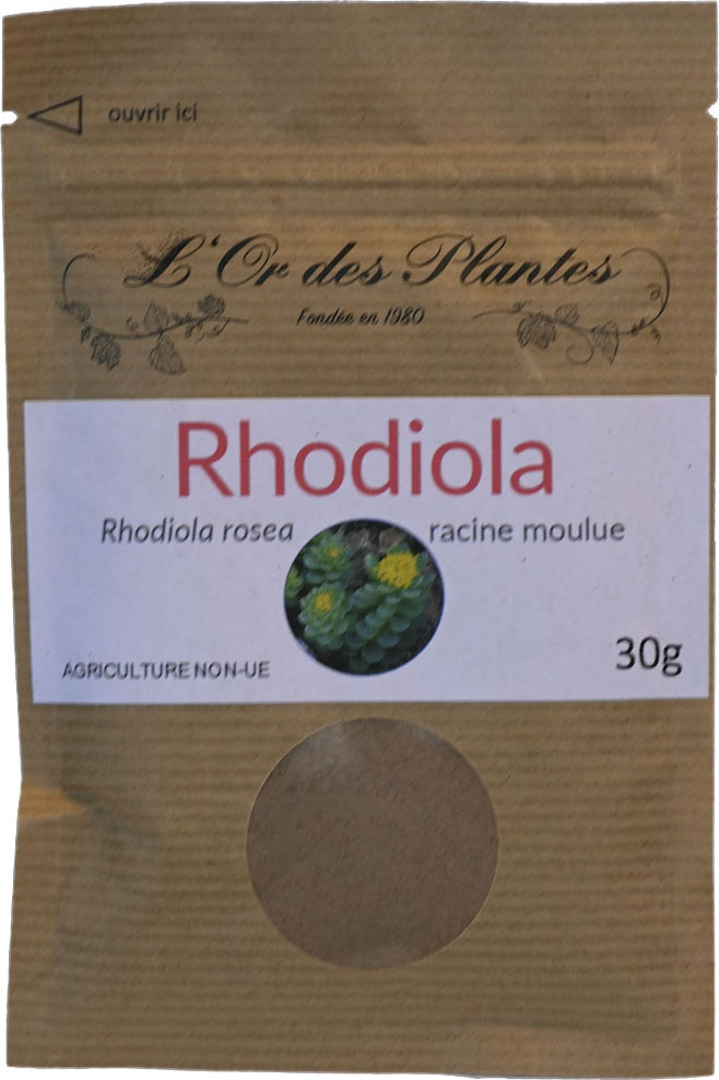 RHODIOLA racine moulue sachet 30g — Adaptogène