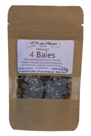 Mélange 4 BAIES ODP 25g — Cuisine & Épices du Monde