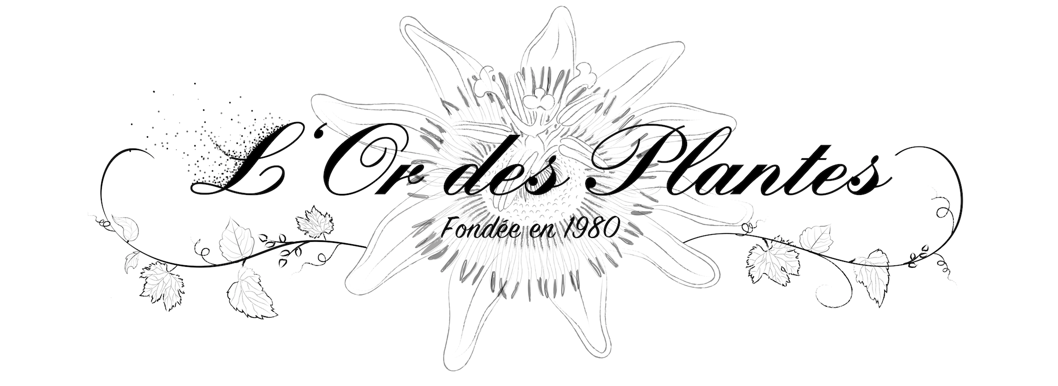 L'Or des Plantes