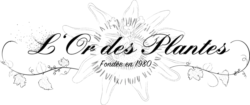 Passiflore