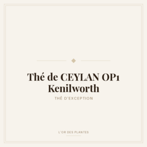 Thé de CEYLAN OP1 Kenilworth (g) — Thé noir