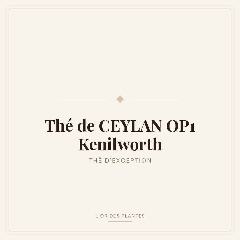 Thé de CEYLAN OP1 Kenilworth (g) — Thé noir