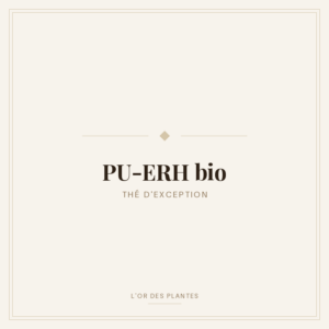PU-ERH bio — Thé noir