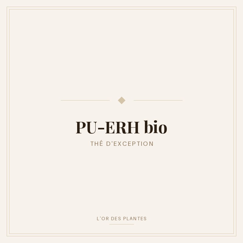 PU-ERH bio — Thé noir