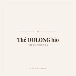 Thé OOLONG bio (g) — Thé vert