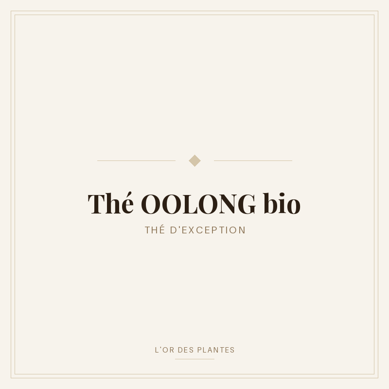 Thé OOLONG bio (g) — Thé vert