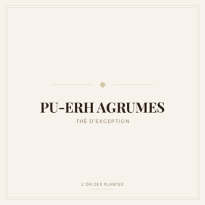 PU-ERH AGRUMES (g) — Thé vert