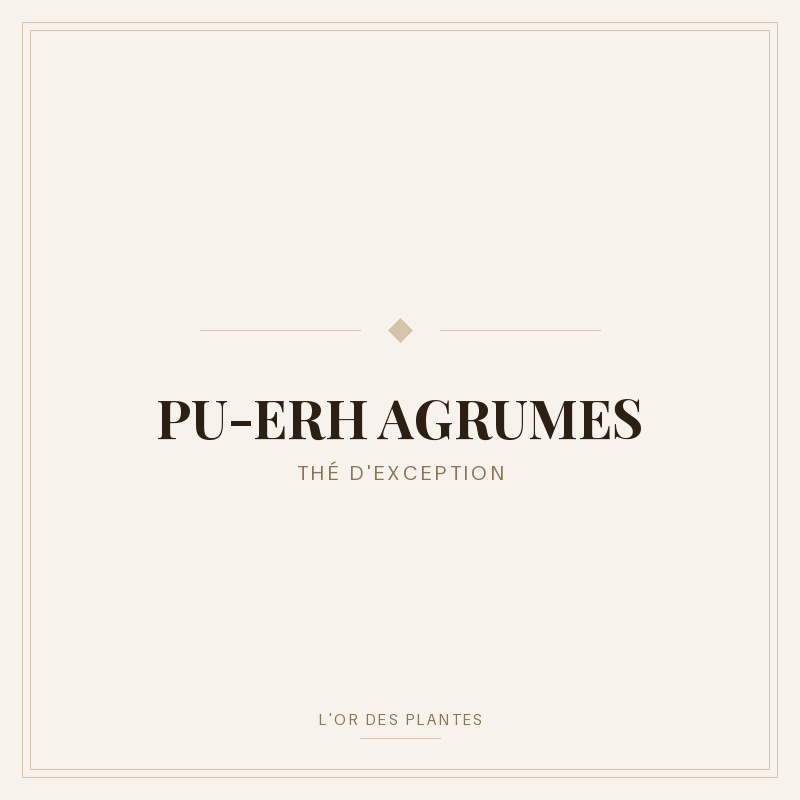 PU-ERH AGRUMES (g) — Thé vert