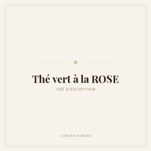 Thé vert à la ROSE (g) — Thé vert