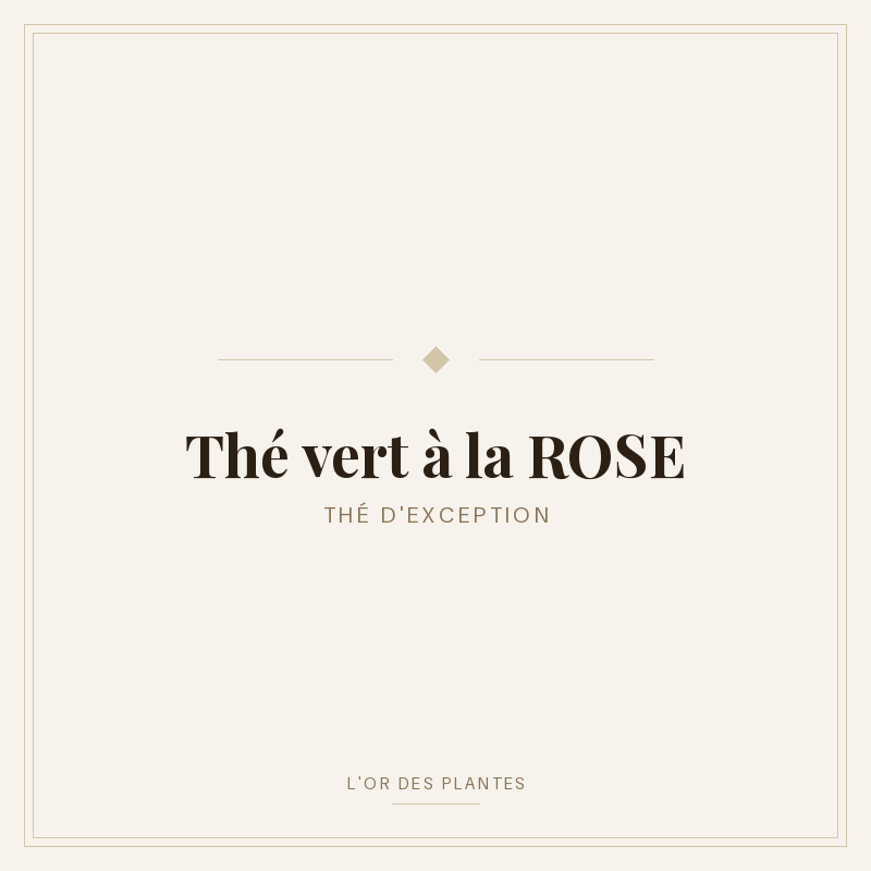 Thé vert à la ROSE (g) — Thé vert