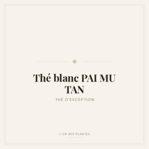 Thé blanc PAI MU TAN (g) — Thé blanc