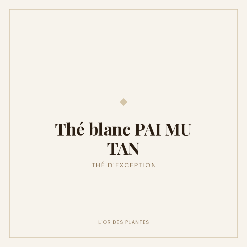 Thé blanc PAI MU TAN (g) — Thé blanc