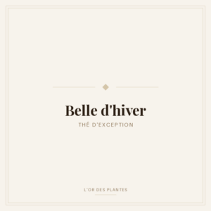 Belle d'hiver (g) — Rooibos & Maté