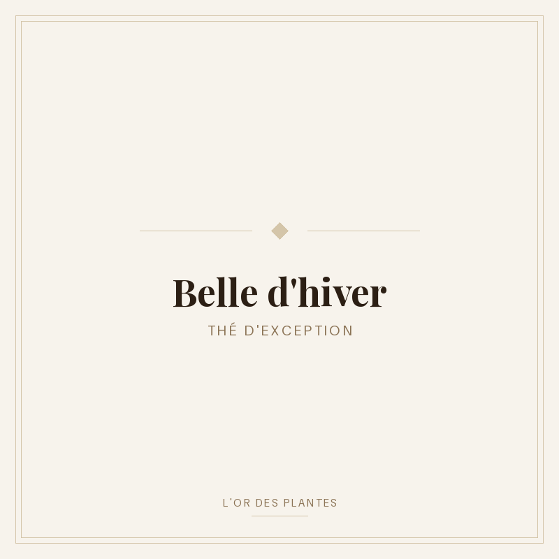 Belle d'hiver (g) — Rooibos & Maté