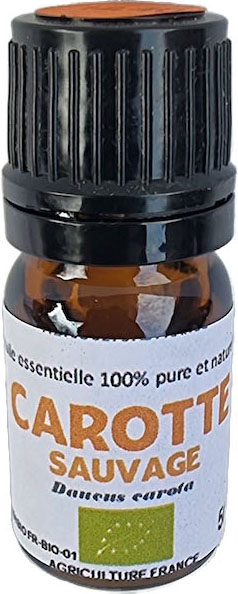 H.E. CAROTTE sauvage BIO 5ml — 10 ml