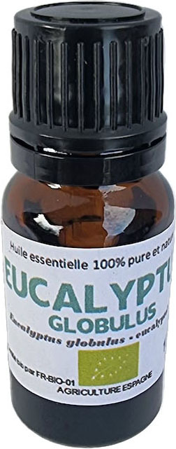 H.E. EUCALYPTUS GLOBULUS BIO 10ml — Aromathérapie & Huiles Essentielles