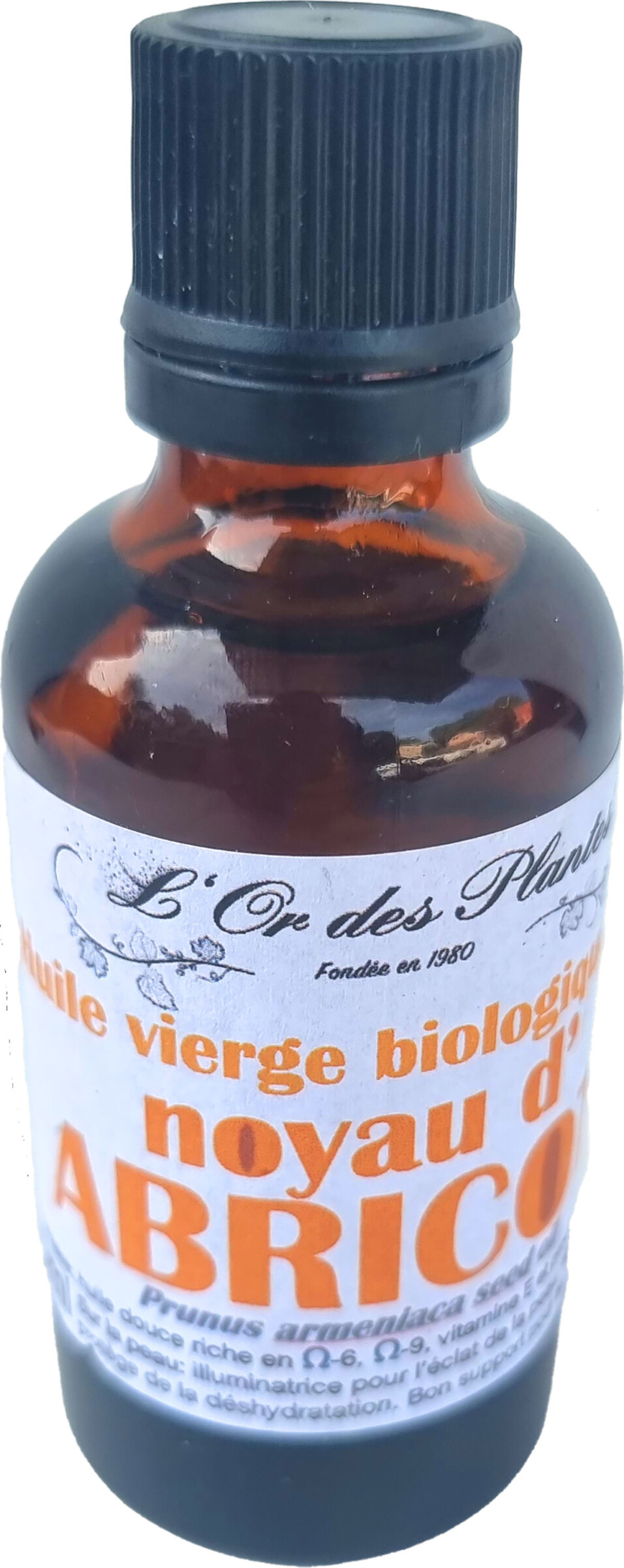 Huile de noyau d'ABRICOT BIO 50ml — 50 & 100 ml