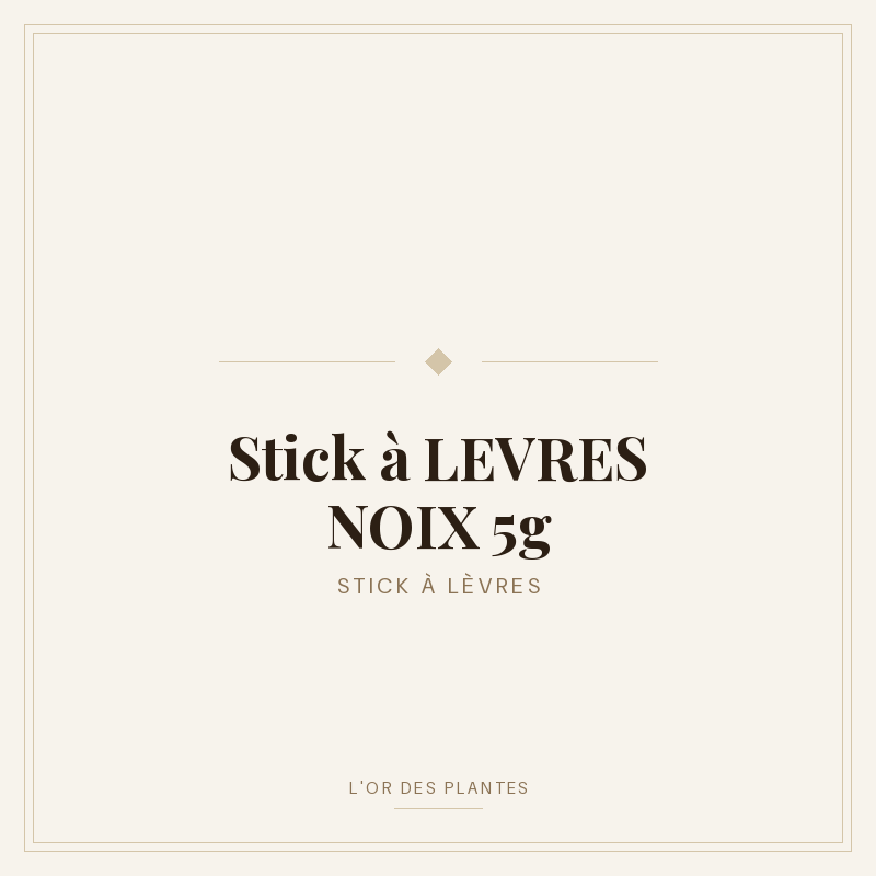 Stick à LEVRES NOIX 5g — Soins Bio & Cosmétiques Naturels