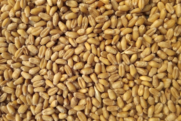 Mélange à La VITAMINE C 100g