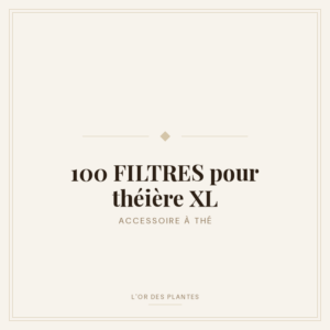 100 FILTRES pour théière XL — Accessoire à thé