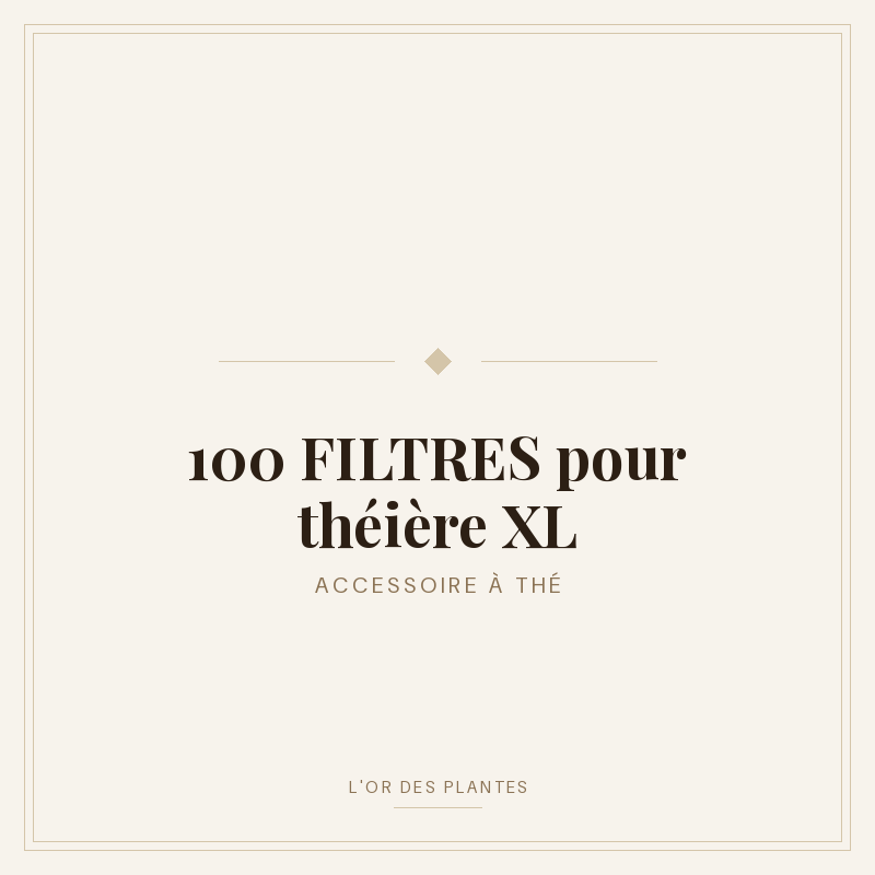 100 FILTRES pour théière XL — Accessoire à thé