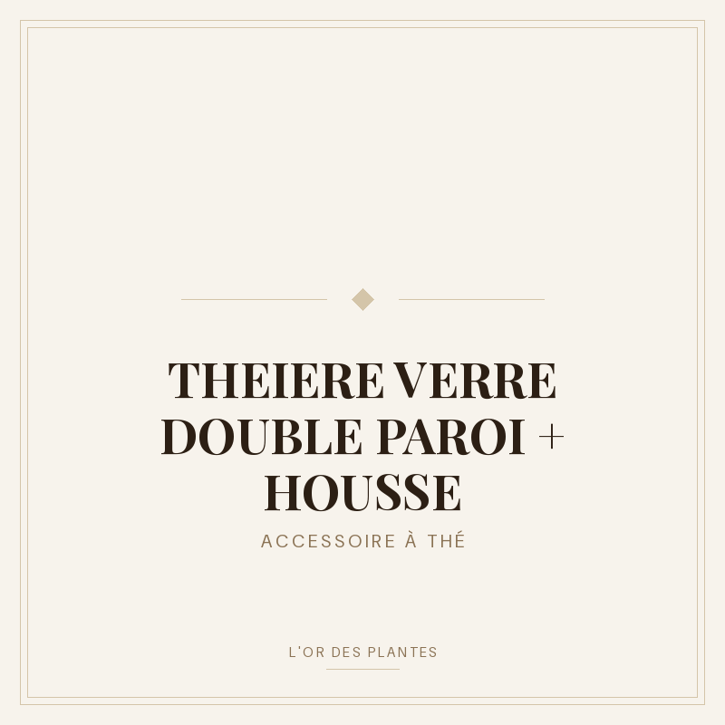 THEIERE VERRE DOUBLE PAROI + HOUSSE — Accessoire à thé