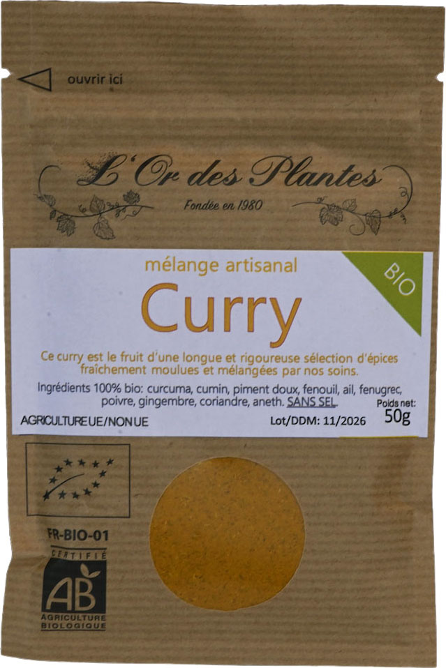 Mélange CURRY ODP bio 50g*
